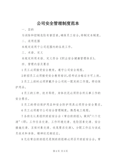 公司安全管理制度范本.docx