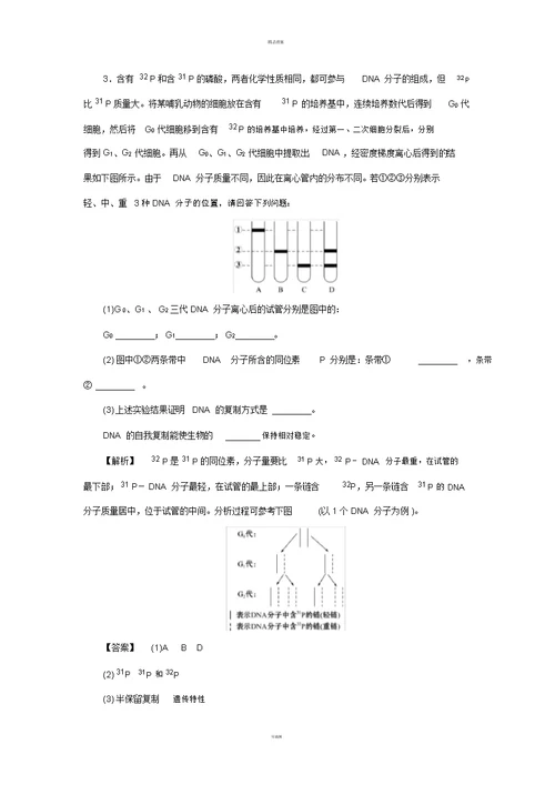 高中生物第4章遗传的分子基础第2节DNA分子的结构和复制(第2课时)DNA分子的复制学案苏教版必修2