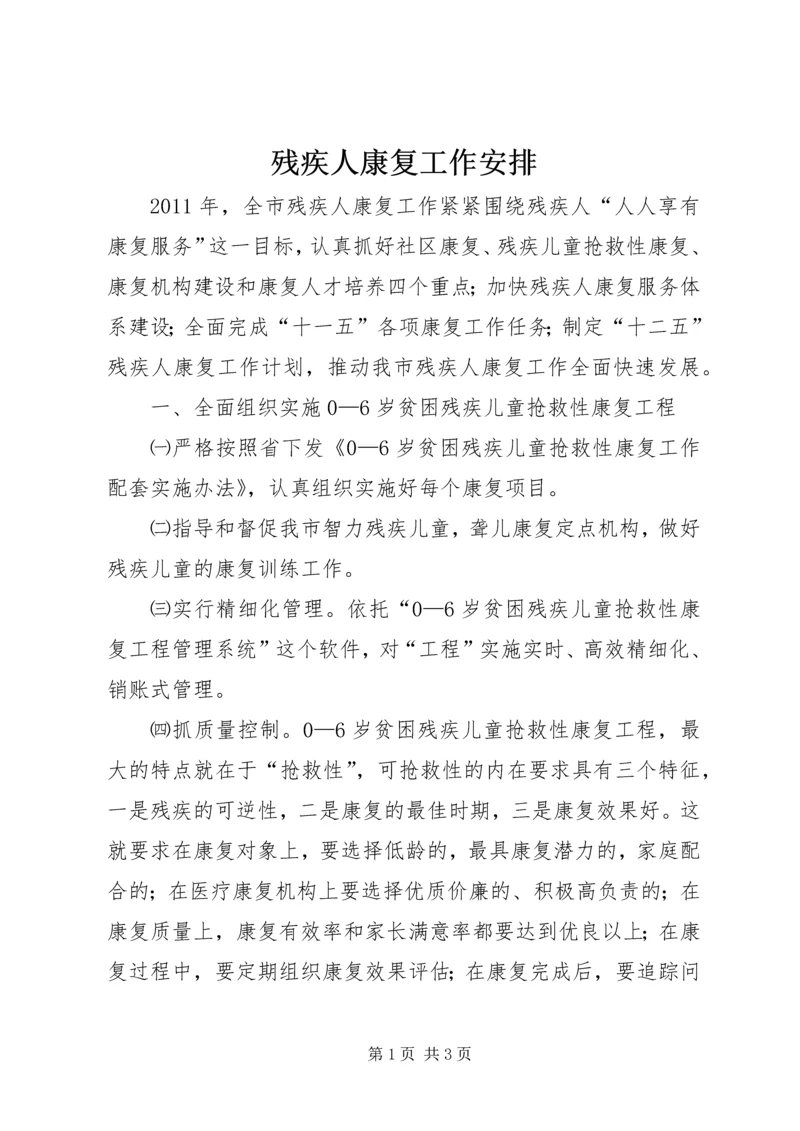 残疾人康复工作安排 (2).docx