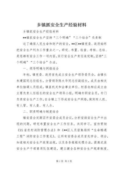 乡镇抓安全生产经验材料.docx