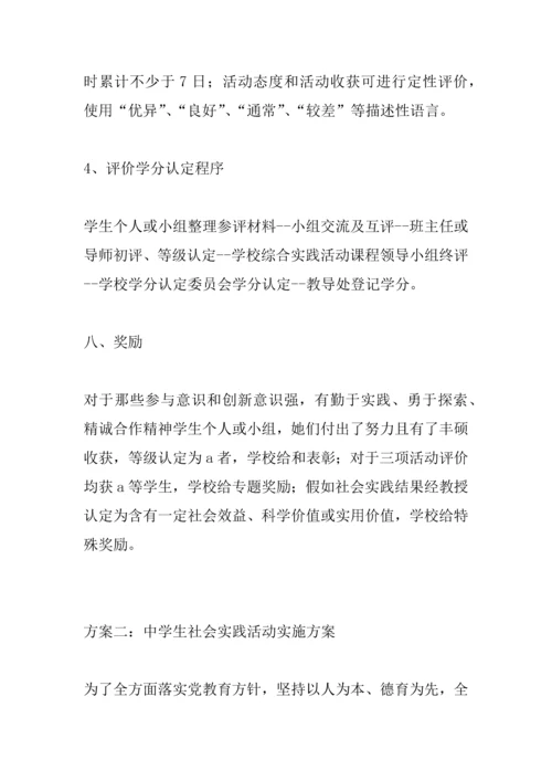 中学生社会实践活动实施专业方案.docx