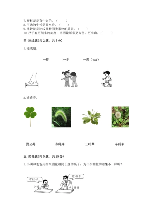 教科版一年级上册科学期末测试卷含答案（新）.docx