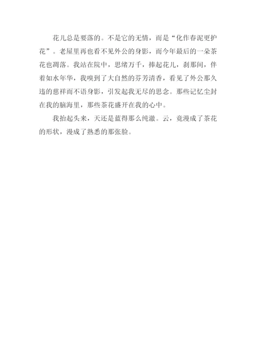 开在心中的茶花作文700字.docx