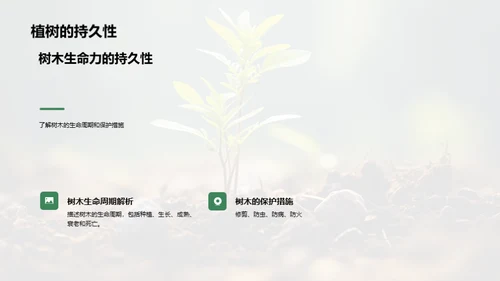 绿化生活，科学植树