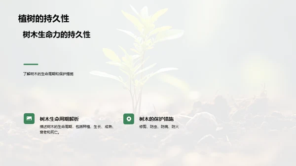 绿化生活，科学植树