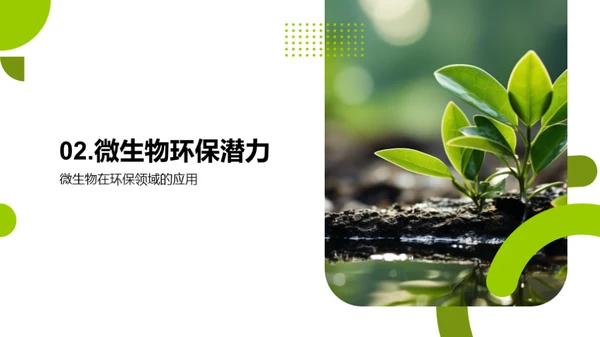 环保中的微生物应用