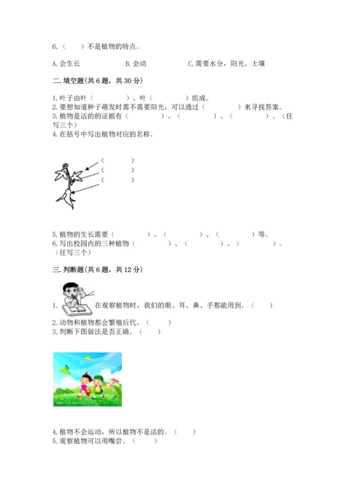 教科版科学一年级上册第一单元《植物》测试卷附完整答案【精品】.docx