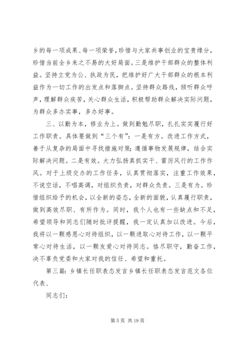 乡镇长任职工作总结_1.docx