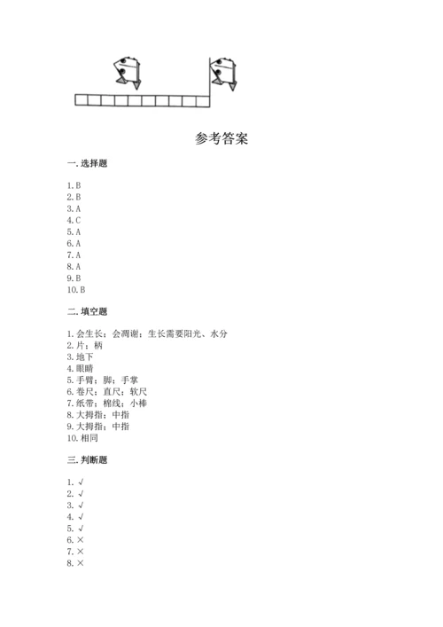 教科版一年级上册科学期末测试卷完美版.docx