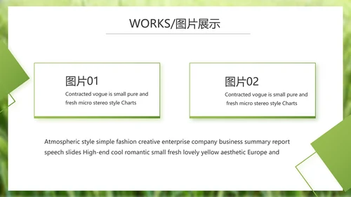 绿色农产品介绍宣传动态PPT模板