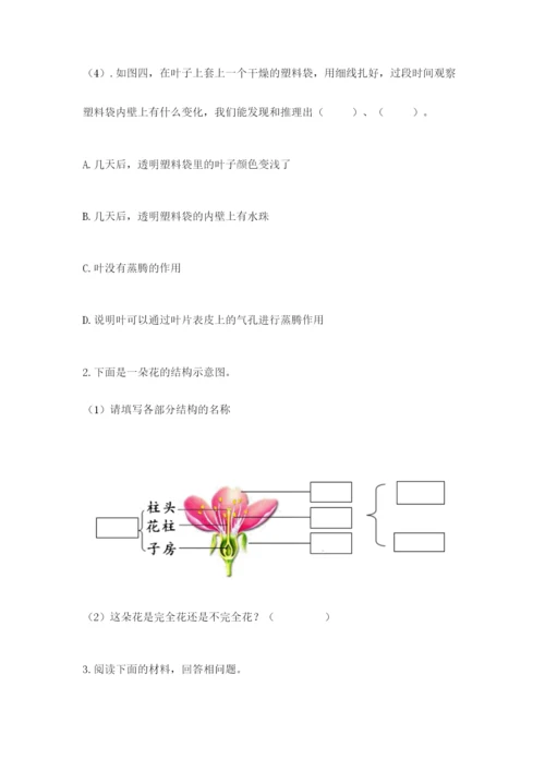 科学四年级下册第一单元植物的生长变化测试卷1套.docx