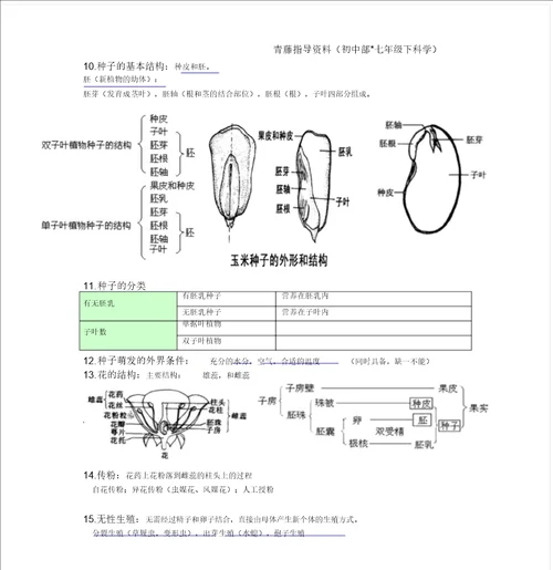 浙教版七年级下科学知识点总结