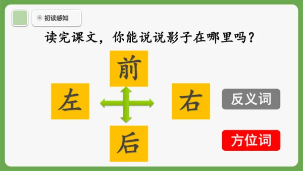 6《影子》课件