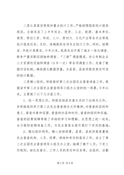 统计局XX年上半年工作总结及下半年工作安排精编.docx