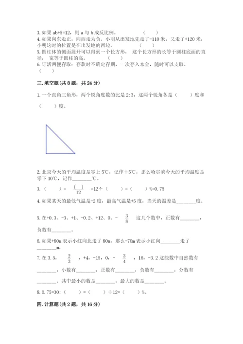 点军区六年级下册数学期末测试卷完美版.docx