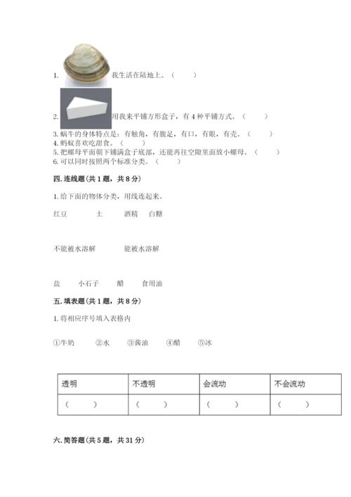 教科版小学科学一年级下册期末测试卷精品（夺冠）.docx