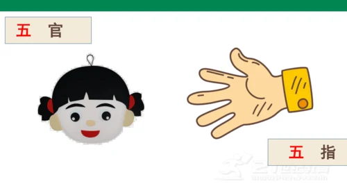 识字2  金木水火土  课件