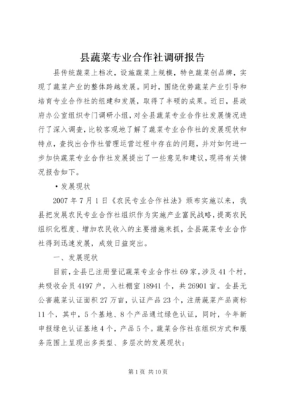 县蔬菜专业合作社调研报告.docx