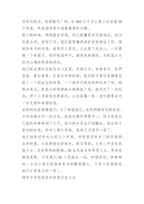 铸牢中华民族共同体意识征文12篇.docx