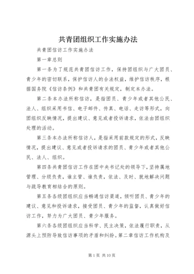 共青团组织工作实施办法 (2).docx