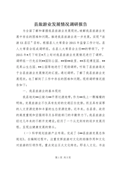 县旅游业发展情况调研报告.docx