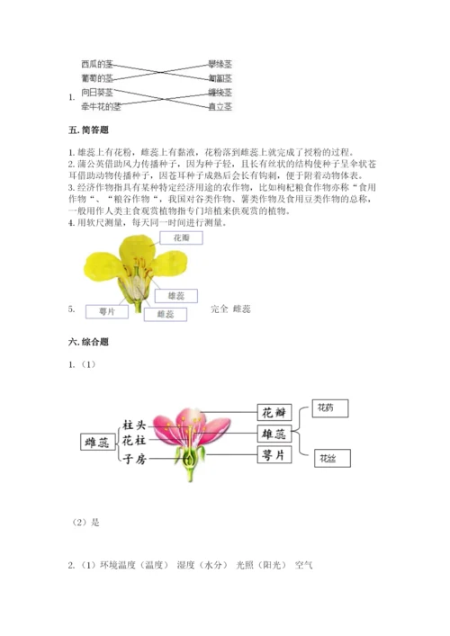 科学四年级下册第一单元《植物的生长变化》测试卷附完整答案（夺冠系列）.docx