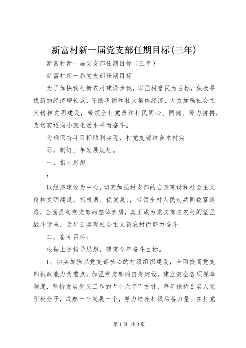 新富村新一届党支部任期目标(三年) (5).docx