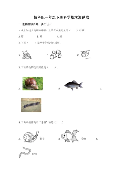 教科版一年级下册科学期末测试卷（典优）.docx