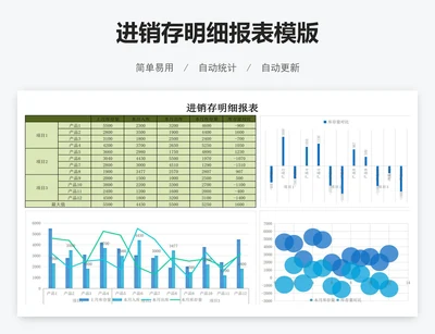 进销存明细报表模版