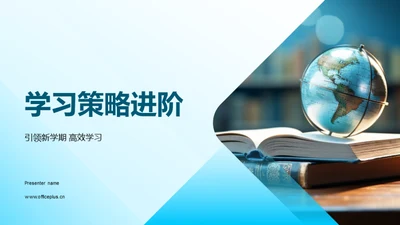 学习策略进阶