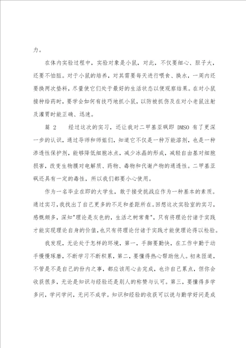 毕业个人实习总结