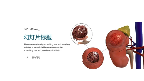 人体器官分布医学医疗ppt动态模板