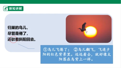 3.现代诗二首 秋晚的江上 课件