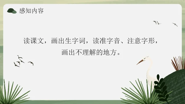 部编版语文五年级上册《白鹭》课件
