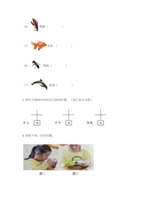 教科版二年级上册科学期末考试试卷及答案（全优）.docx