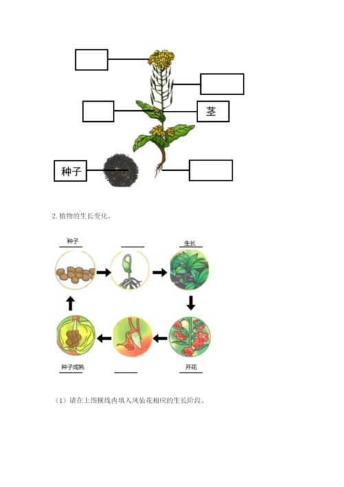 科学四年级下册第一单元植物的生长变化测试卷及答案（名师系列）.docx