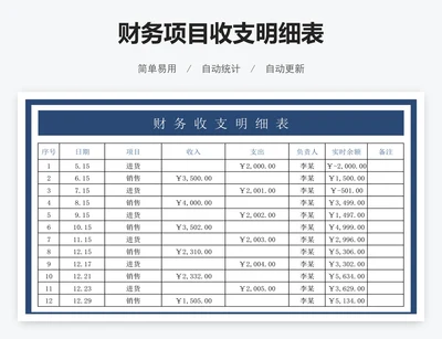 财务项目收支明细表