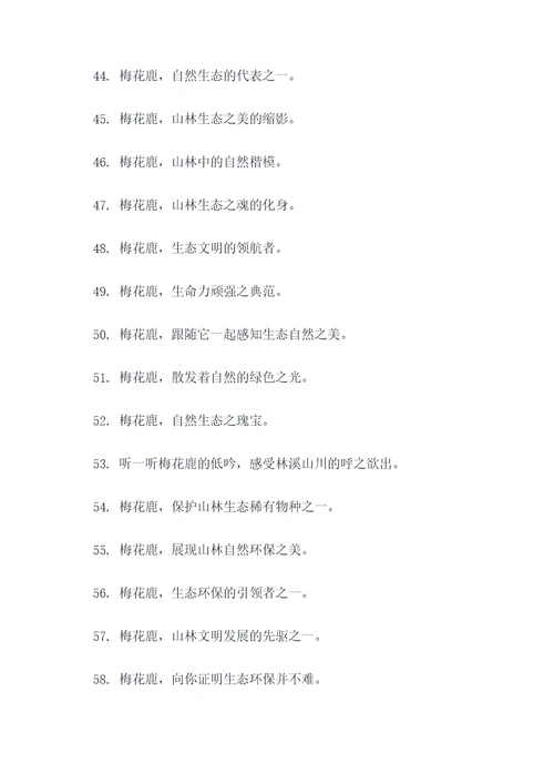 梅花鹿宣传口号