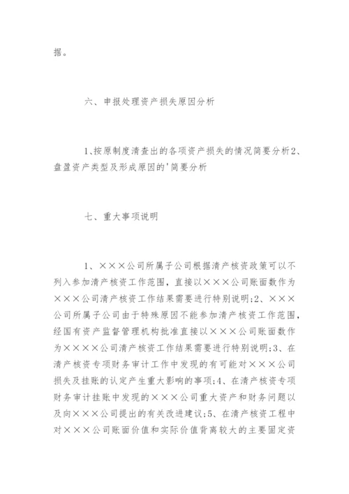 清产核资专项审计报告.docx