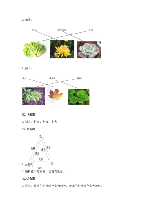 教科版科学一年级上册第一单元《植物》测试卷精品【各地真题】.docx