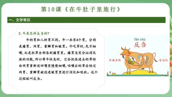 统编版2024三年级语文上册第三单元复习   课件