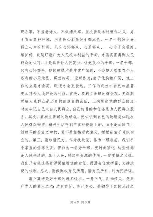 学习好干部标准践行群众路线精神心得体会.docx
