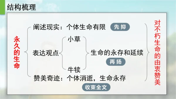 16 散文二篇  永久的生命 课件
