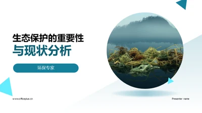 生态保护的重要性与现状分析