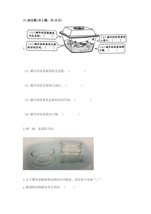 教科版一年级下册科学期末测试卷标准卷.docx