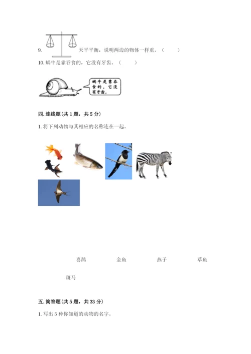 教科版一年级下册科学期末测试卷及一套答案.docx