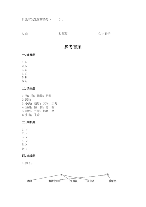 教科版小学科学一年级下册期末测试卷及参考答案（考试直接用）.docx