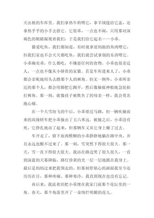 总有一种记忆值得珍藏作文800字.docx