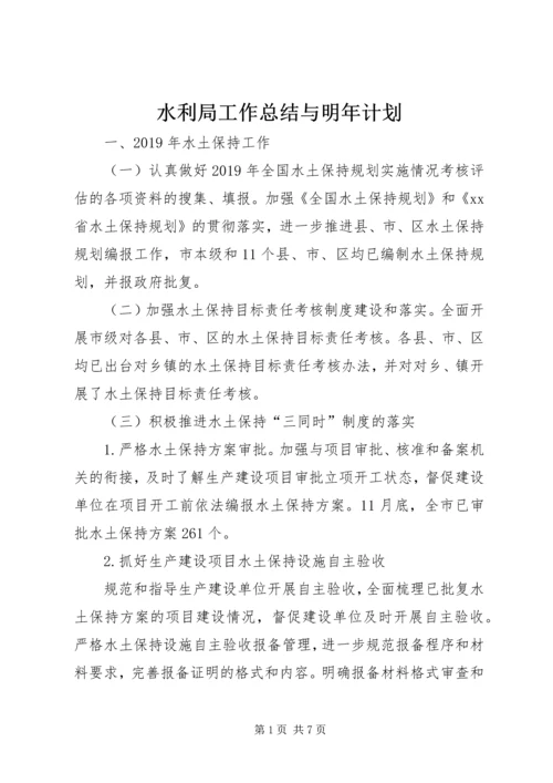 水利局工作总结与明年计划.docx