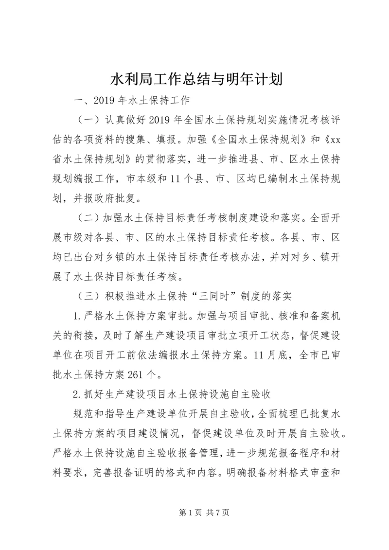 水利局工作总结与明年计划.docx